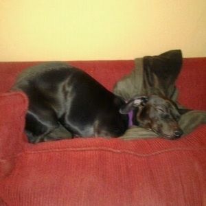 Meet your Posher, Charlene